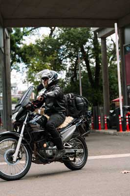 DGR 2024