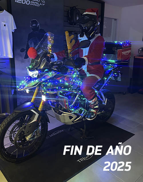 FIN DE AÑO 2025